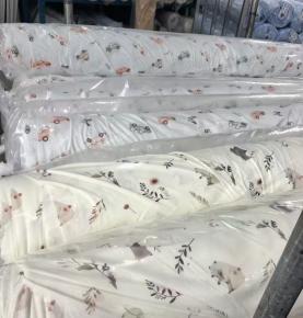 Combed digital printed interlock cloth--EMKF-DY-JY6266